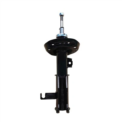 22862225 amortizatorius